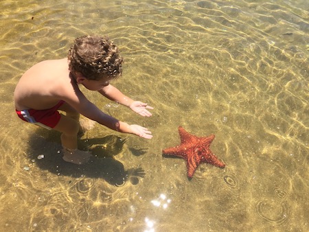 copia-michel-e-a-estrela